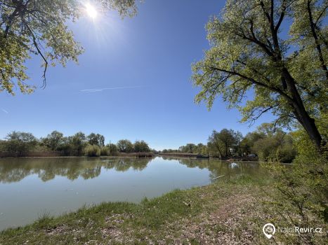 411 157 - Labe 16 A - Tůně Kozly<br>Jiřická a Lobkovická tůň