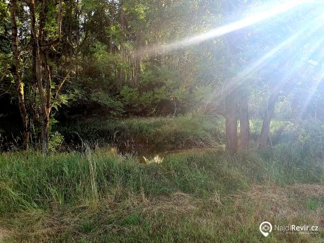 Radbuza 4 by radbuza.com