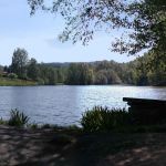 (5) Mlýnský rybník - Teichmühle